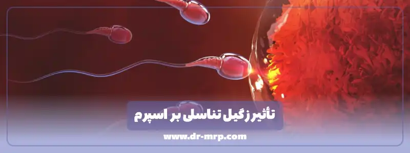 تأثیر زگیل تناسلی بر اسپرم