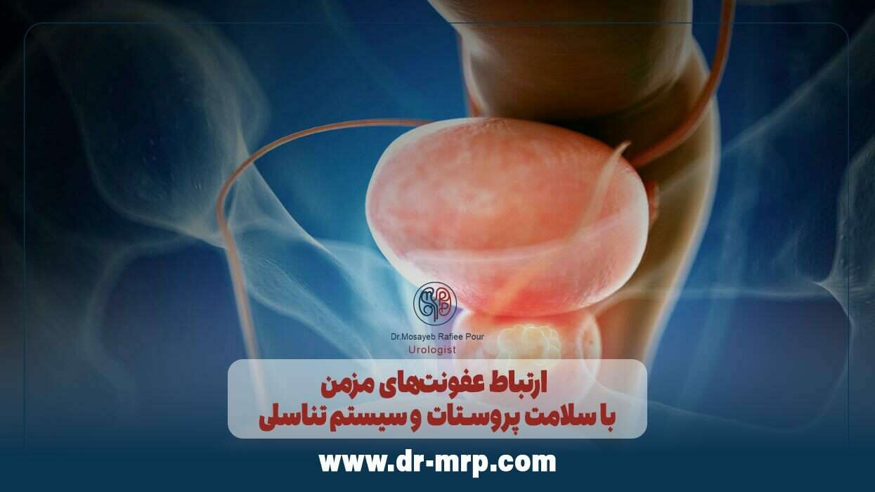 ارتباط عفونتهای مزمن با سلامت پروستات و سیستم تناسلی