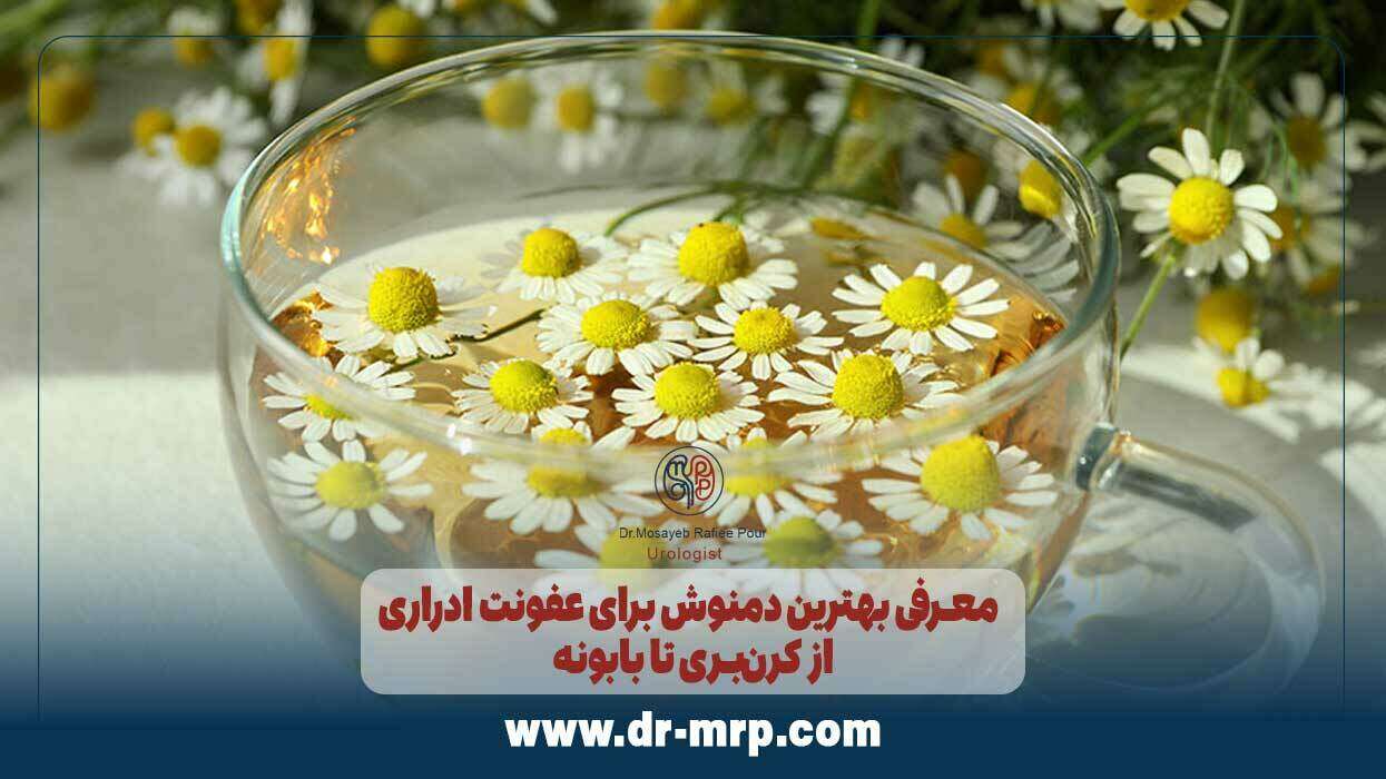 معرفی بهترین دمنوش برای عفونت ادراری: از کرنبری تا بابونه