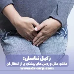 زگیل تناسلی: علائم، علل و روشهای پیشگیری از انتقال آن