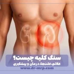 سنگ کلیه چیست؟ علائم، علتها، درمان و پیشگیری