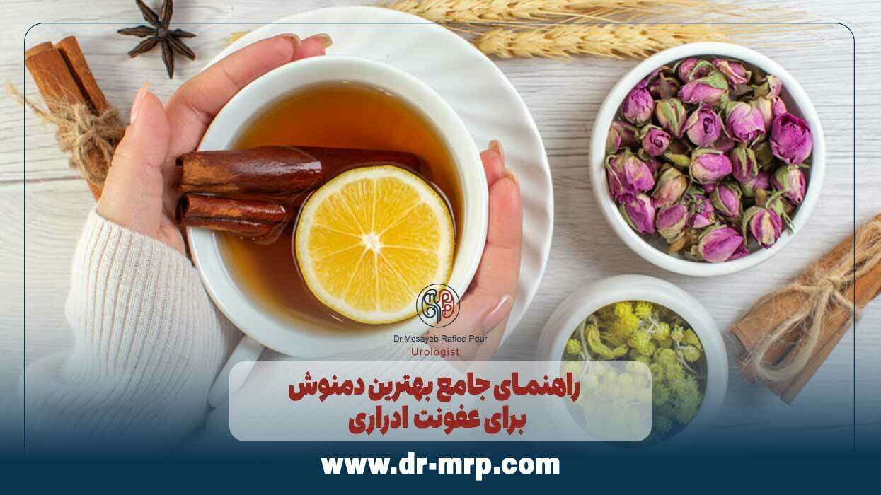 راهنمای جامع بهترین دمنوش برای عفونت ادراری