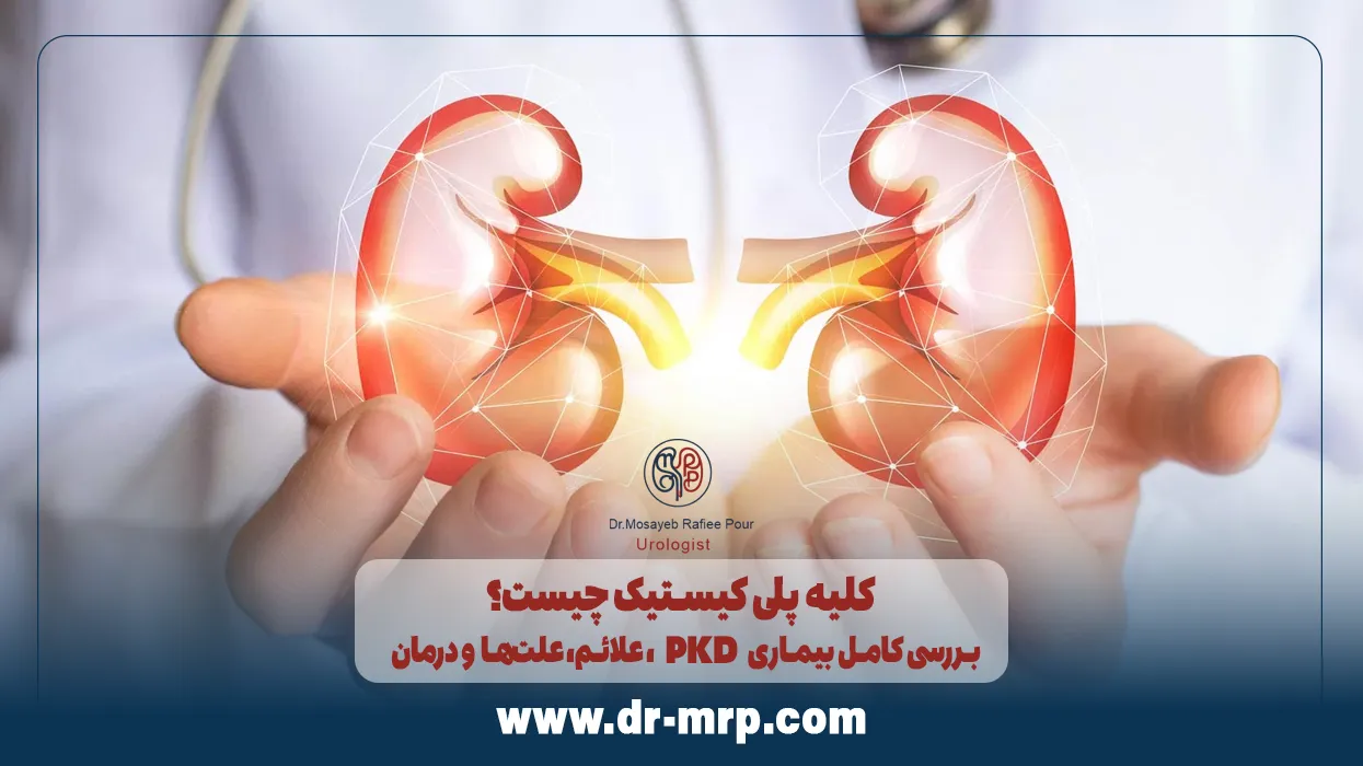 کلیه پلی کیستیک چیست؟ بررسی کامل بیماری PKD، علائم، علتها و درمان